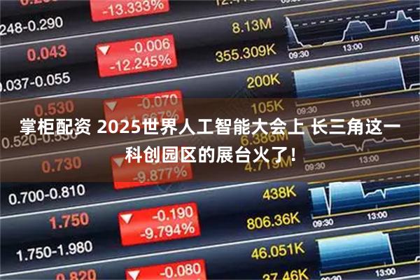 掌柜配资 2025世界人工智能大会上 长三角这一科创园区的展台火了！